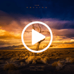 The Calling Sean Tinnion